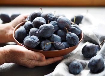 The hands of a senior woman are holding large autumn plums against the background of a bowl of plums