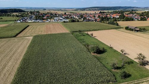 High angle view of agricultural field