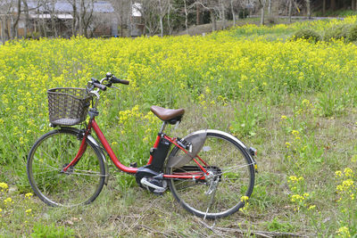 Bicycle on field