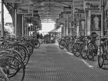 Bicycles parked in rack