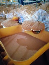 Close-up of dessert on table