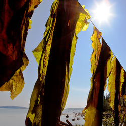 Low angle view of rock formation in sea against sky