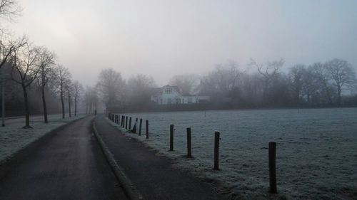 Road passing through bare trees