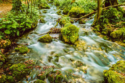 Stream flowing through rocks in forest