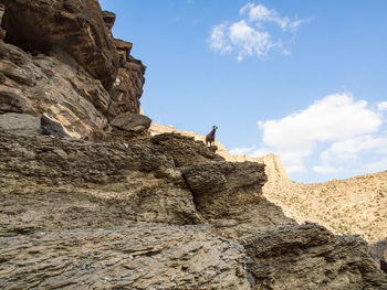 Low angle view of person on rock against sky