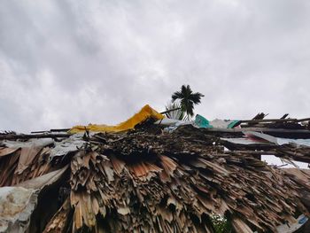 Low angle view of palm trees against sky