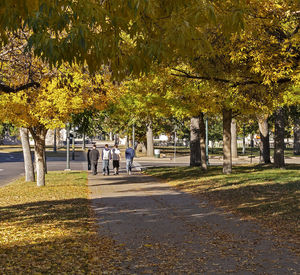 People walking in park during autumn