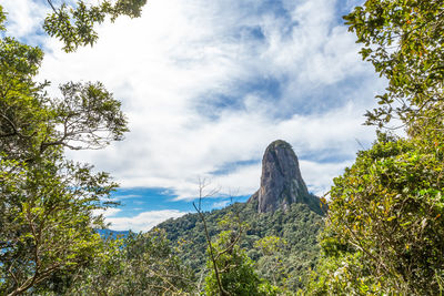 Low angle view of trees and mountains against sky