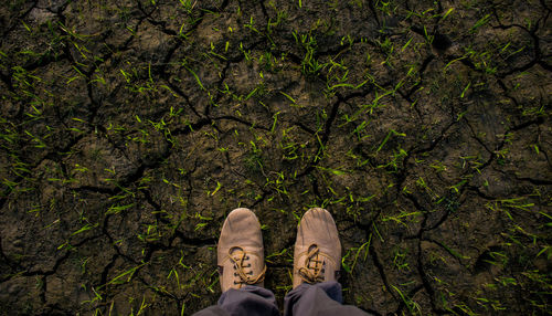 Low section of man standing on land