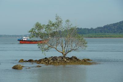 Scenic view of sea against clear sky