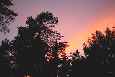 Low angle view of silhouette trees against sky at sunset