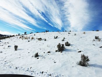 Scenic view of snow covered land against sky