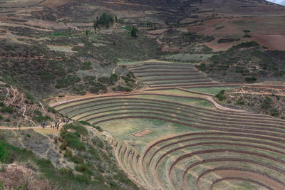 High angle view of agricultural field