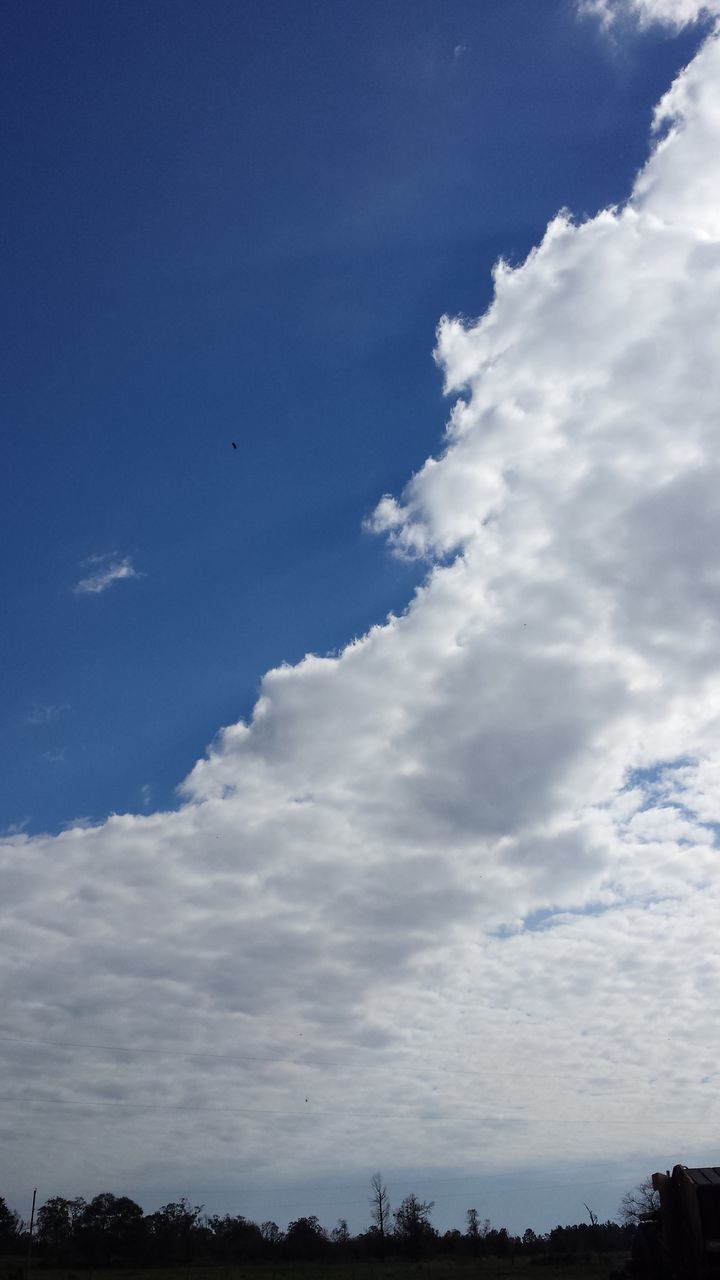 cloud - sky, sky, blue, low angle view, tranquility, nature, tree, no people, beauty in nature, scenics, outdoors, day