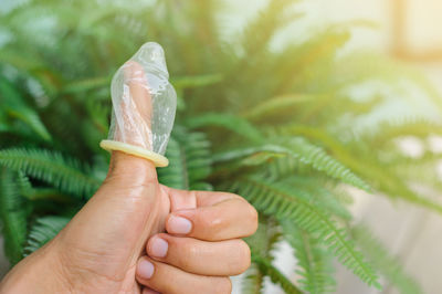 Close-up of condom on thumb against plant