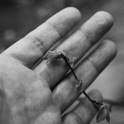 Close-up of hand holding hands
