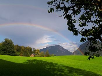 Scenic view of field against rainbow in sky