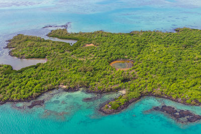 High angle view of plants and sea