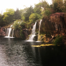 Scenic view of waterfall in forest