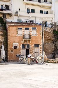 Rear view of man with horse cart standing by buildings