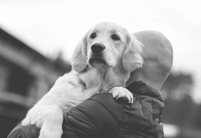 Close-up of man carrying dog