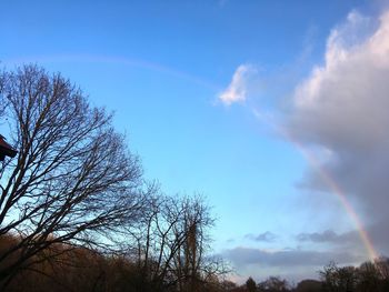 Low angle view of trees against rainbow in sky