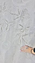 Low section of woman standing on beach