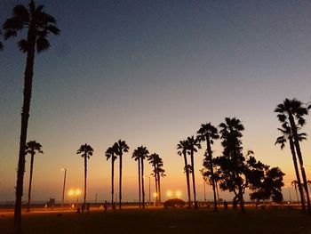 Silhouette of palm trees at sunset