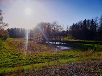 Scenic view of trees on field against sky