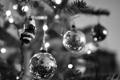 Close-up of christmas decoration hanging on tree