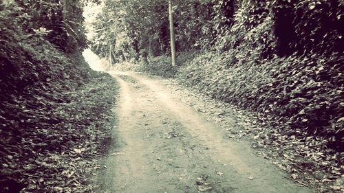 Road passing through landscape