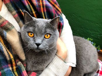 Close-up portrait of kitten