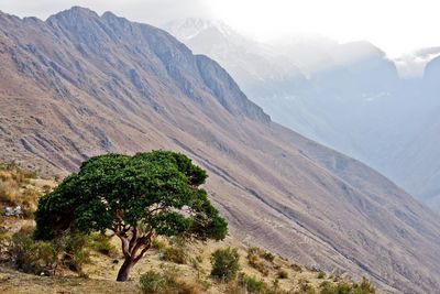 Scenic view of mountains