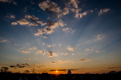 Silhouette of trees at sunset