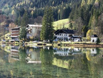 Scenic view of lake in forest