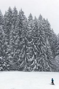 Person skiing on snow covered land