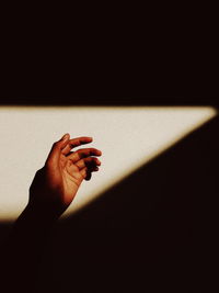 Close-up of hand holding leaf against wall