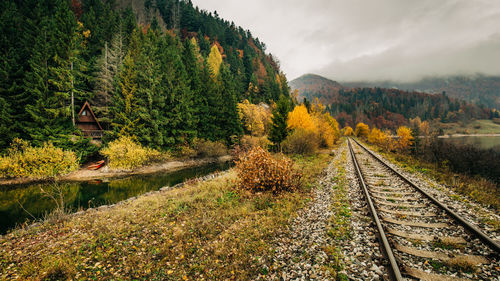 Scenic view of railroad tracks by trees against sky