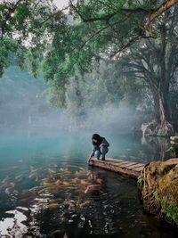 Man in lake by trees in forest