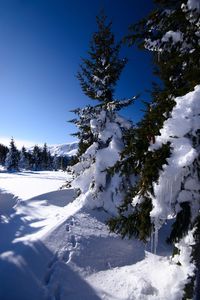 Snow covered landscape against clear blue sky