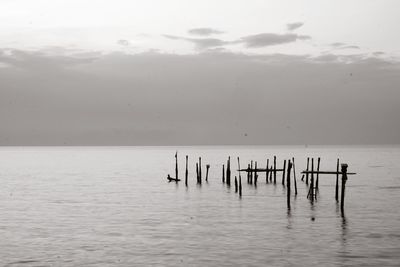 Wooden posts in sea against sky