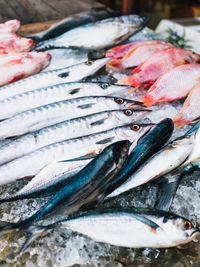 Close-up of fish for sale in day market in duong dong