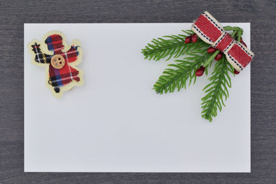 High angle view of vegetables on table against white background