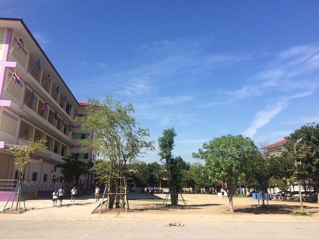 tree, architecture, built structure, plant, sky, nature, building exterior, building, day, incidental people, outdoors, land, city, blue, sunlight, people, beach, sand, summer, cloud - sky