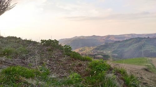 Scenic view of landscape against sky