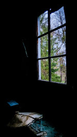 View of trees through window