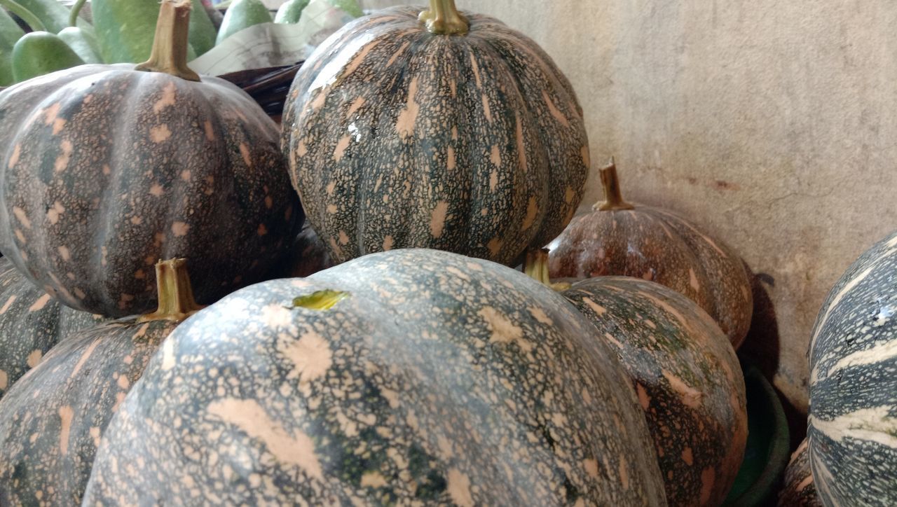 CLOSE-UP OF PUMPKINS IN CONTAINER