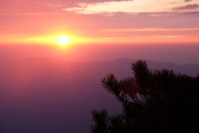 Low angle view of silhouette trees against romantic sky