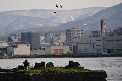 Cityscape with mountain range in background