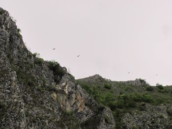 Low angle view of bird flying over rocks against sky